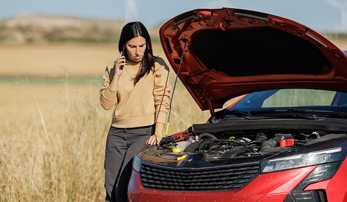 franquicia-por-accidente